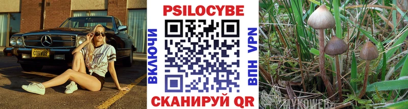 Псилоцибиновые грибы прущие грибы  Красногорск 
